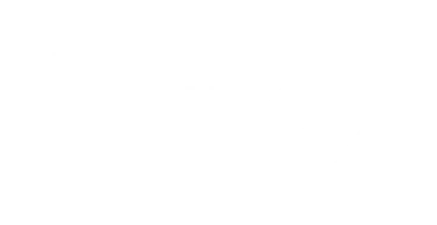 Turo